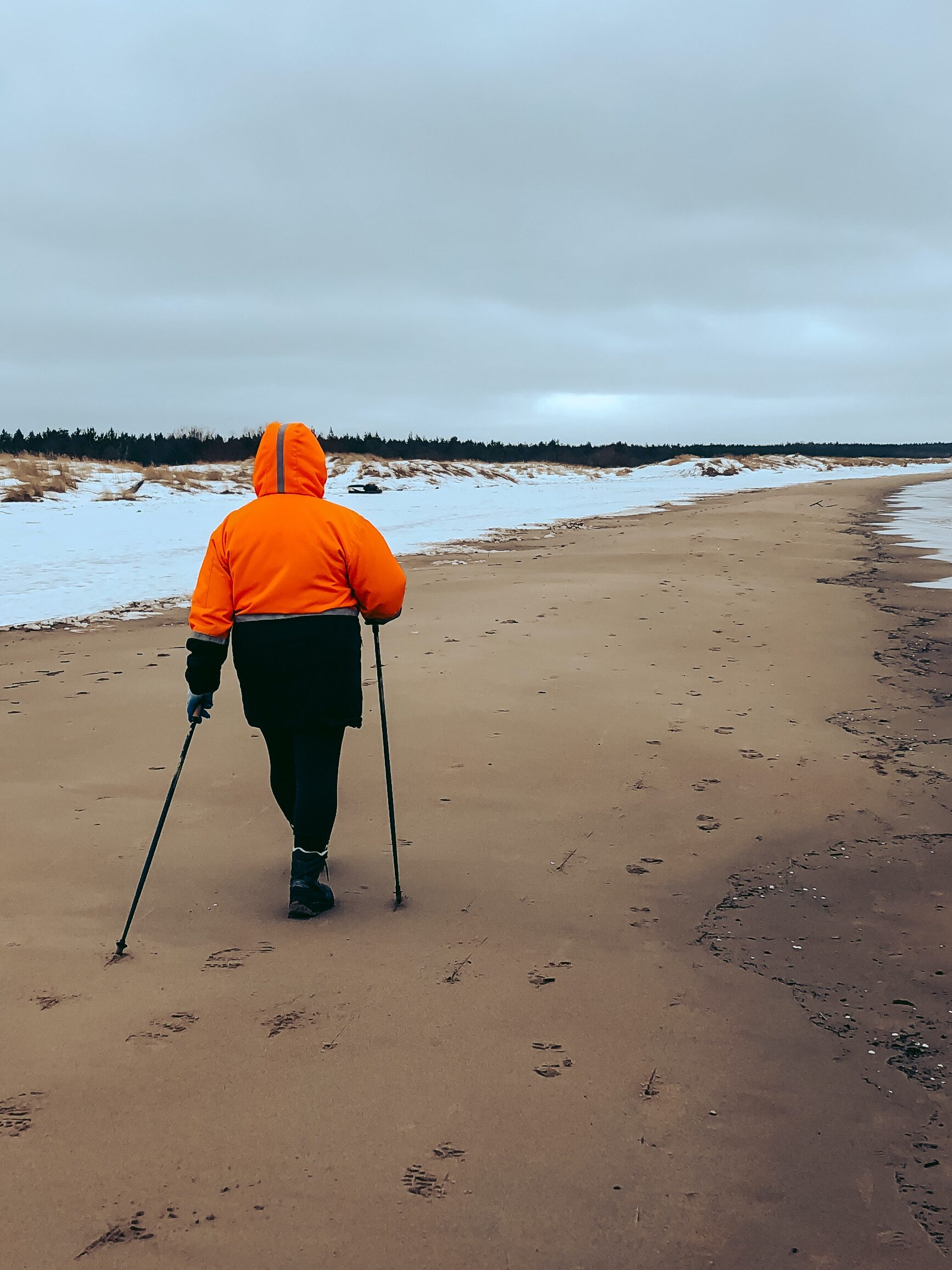 Joint Support & Reduced Impact With Nordic Walking