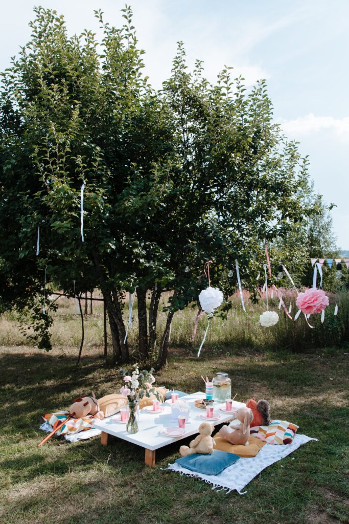 set up a teddy bears picnic 1 2025